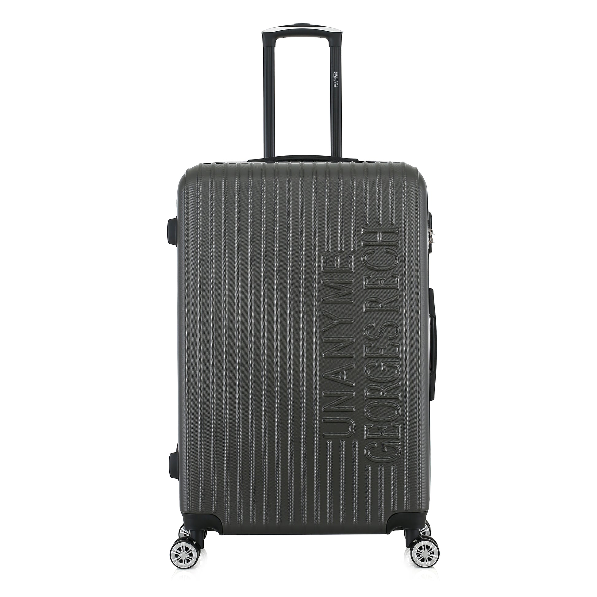 Grande valise grise de face
